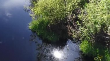 Yeşil otlaklarla çevrili, şeffaf temiz suyla dolu orman nehrinin hava manzarası büyüleyici manzara manzarası. Açık hava iklimi kavramı.