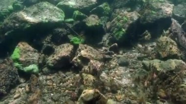 Baykal Gölü 'nün dibindeki su altı taşları..