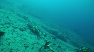 Baykal Gölü 'nün dibindeki su altında çapayı kaybettik..