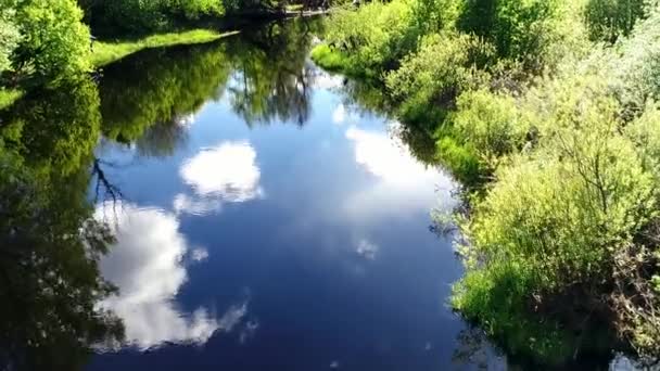 Flygfoto över skogs floden med transparent fylld med sötvatten omgiven av gröna betesmarker med fantastisk utsikt över landskapet filmiska. Begreppet klimat utomhus natur. — Stockvideo