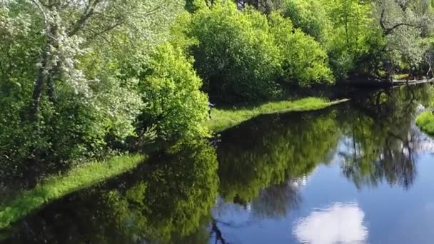 Вид с воздуха на лесную реку с прозрачной, наполненной пресной водой, окруженной зелеными пастбищами с потрясающими пейзажными кинематографическими видами. Концепция климата. — стоковое видео