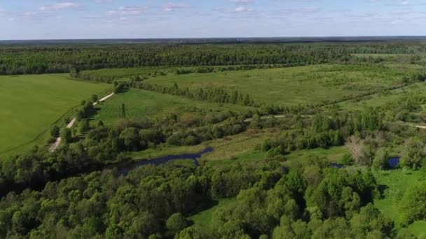 Fantastiska videofilmer av skog flod med transparent fylld med sötvatten omgiven av tät grön skog med fantastisk landskap filmisk utsikt. Begreppet klimat utomhus natur. — Stockvideo