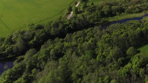 Drone antenn video av träsk flod omgiven av tät grön skog med fantastiska landskap filmisk utsikt. Begreppet klimat utomhus natur. — Stockvideo