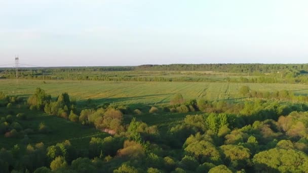 Дике середовище лісових річок з прозорою прісною водою, оточеною зеленими пасовищами з приголомшливими краєвидами. Концепція клімату зовнішньої природи . — стокове відео