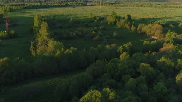 Vild miljö av skogsflod med transparent fylld med sötvatten omgiven av gröna betesmarker med fantastisk utsikt över landskapet. Begreppet klimat utomhus natur. — Stockvideo