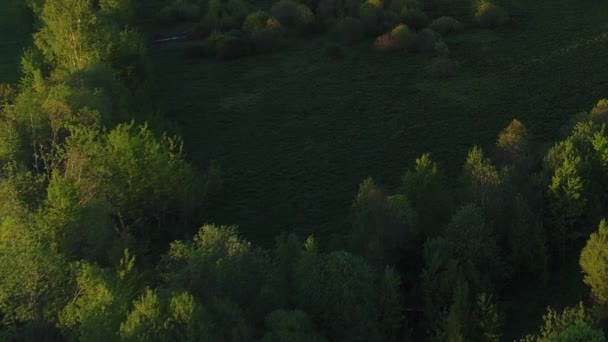 Wilde omgeving van bos rivier met transparant gevuld met vers water omgeven door groene weiden met een prachtig landschap filmische uitzichten. Concept klimaat buiten natuur. — Stockvideo