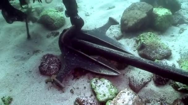 Anclaje perdido en el fondo submarino del lago Baikal. — Vídeos de Stock