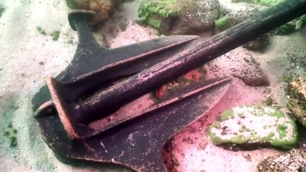 Lost anchor on underwater bottom of Lake Baikal. — Stock Video