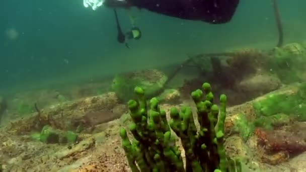 Forskare resenär dykare på undervattensbotten av sjön Baikal. — Stockvideo