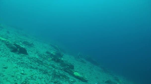 Verloren anker op onderwaterbodem van het Baikalmeer. — Stockvideo