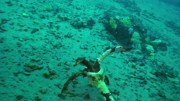 Lost anchor on underwater bottom of Lake Baikal. — Stock Video