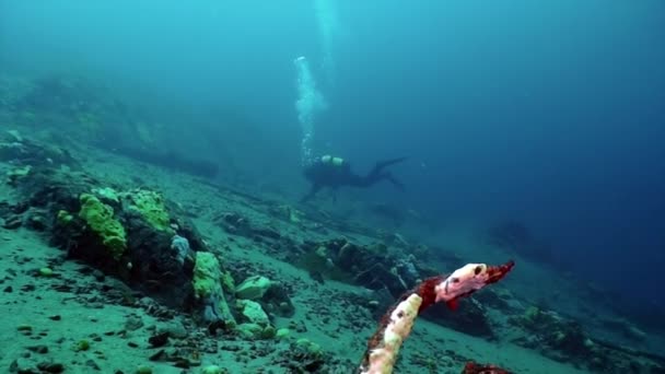 Förlorat ankare på undervattensbotten av sjön Baikal. — Stockvideo