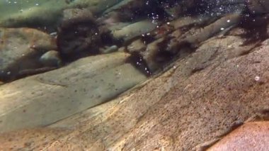 Su taşı keskinleştirir.