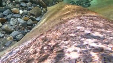 Su taşı keskinleştirir.