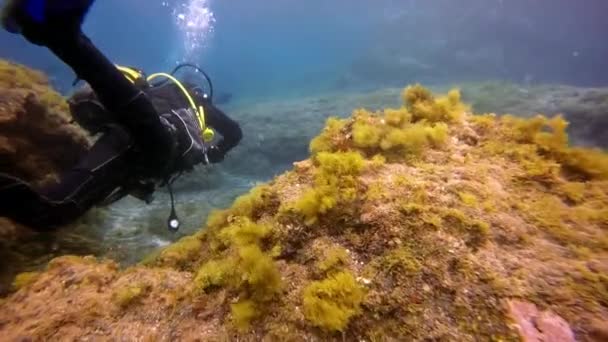 Duikers zwemmen bij de bodem van de Atlantische Oceaan. — Stockvideo