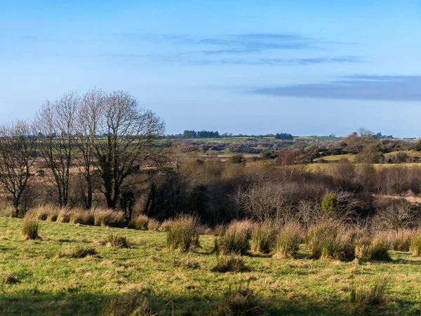 Campagne Irlandaise Ouest Irlande Paysage Typiquement Irlandais Surplombant Les Champs — Photo