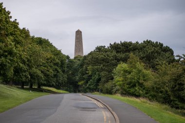Ağaçlar ve Wellington Anıtı ile çevrili olan Dublin, İrlanda 'daki Phoenix Parkı' ndan geçen yol, ağaçların arkasında 1817-1861 yılları arasında inşa edilmiştir..