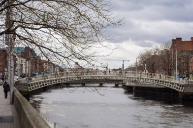 Dublin, İrlanda 'da Liffey Nehri' ne bakan bir köprü. Kışın ön planda çıplak ağaç dalları.