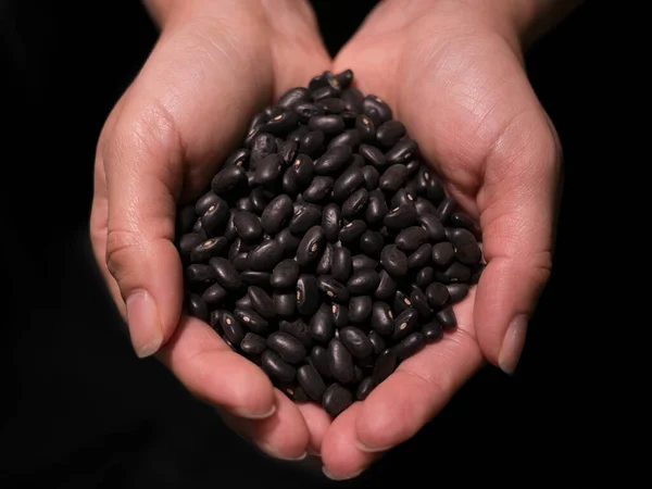 Woman Hands Holding Raw Uncooked Black Beans Healthy Whole Food — Stock Photo, Image