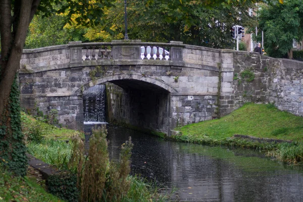 Kanał Grande Dublinie Irlandia Stary Kamienny Most Bujną Roślinnością Zieloną — Zdjęcie stockowe