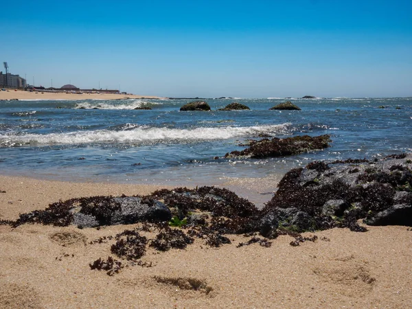 Санні Біч Літній День Португалії Золотим Піском Скелями Атлантичним Океаном — стокове фото