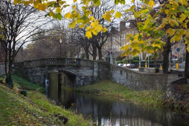 Dublin 'de Büyük Kanal, Sonbaharda İrlanda Ağaçlarda sarı yapraklar ve eski taş köprü.