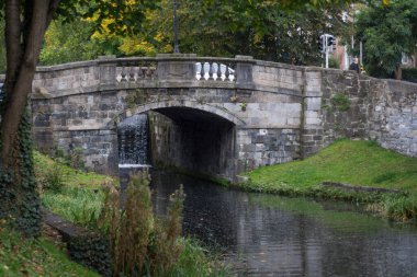 Dublin 'deki Büyük Kanal' ın üzerine 1791 'de ağaçlar ve otlarla inşa edilmiş eski taş köprü.