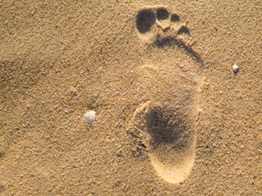 Kumsalda insan ayak izi..