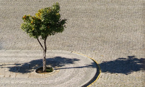 Orange Tree Cobblestone Streets Faro Old Town Algarve Portugal — Stock Photo, Image