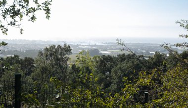 Portekiz, Varzim 'in Povoa de Varzim kentindeki Terroso tepesinden kıyıya doğru Atlantik Okyanusu' na uzaklık. Sonbaharın başlarında sisli bir gün.