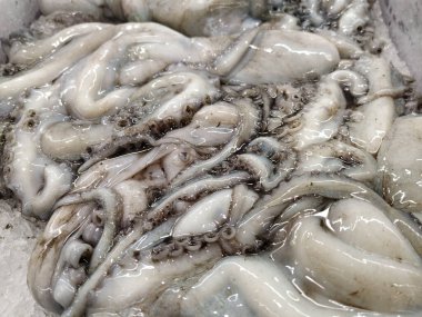 Balık pazarında dokunaçları olan ezilmiş buz üzerinde taze ahtapot..