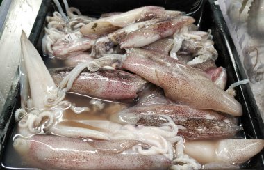 Balık pazarında ezilmiş buz üzerinde taze pembe mürekkep balığı. Kapat..