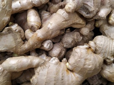 Zencefil kökü, kapat.