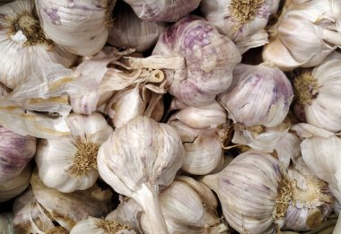 Sarımsak soğanlarını üst üste koy. Yakından..