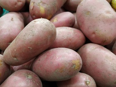 Kırmızı patates yığını. Kapat..