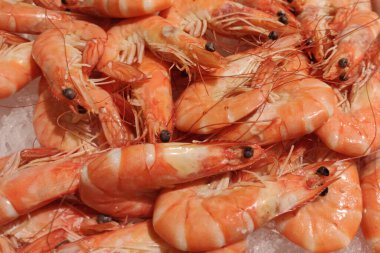 Piyasada ezilmiş buz yatağında pembe karides ya da karides. Deniz ürünlerini kapatın..