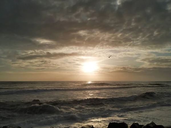 Oiseaux Silhouette Contre Ciel Sombre Humide Coucher Soleil Sur Plage — Photo