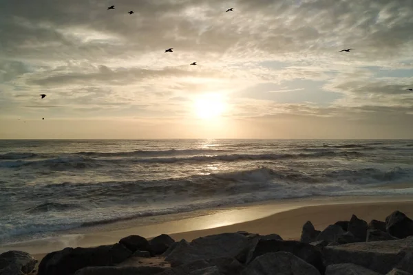 Fåglar Flyger Siluett Mot Mörk Lynnig Himmel Vid Solnedgången Stranden — Stockfoto