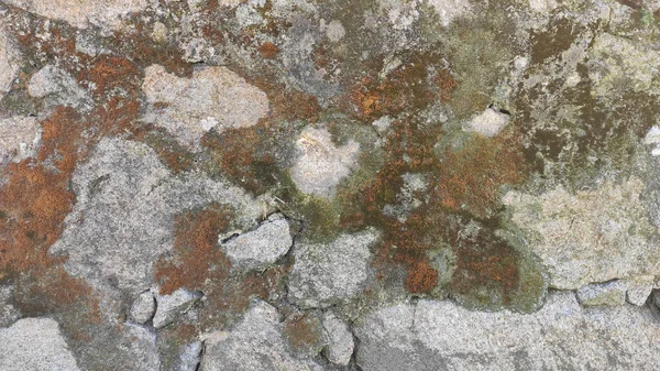 Textura Antigua Pared Piedra Rugosa Con Liquen Marrón Verde Musgo — Foto de Stock