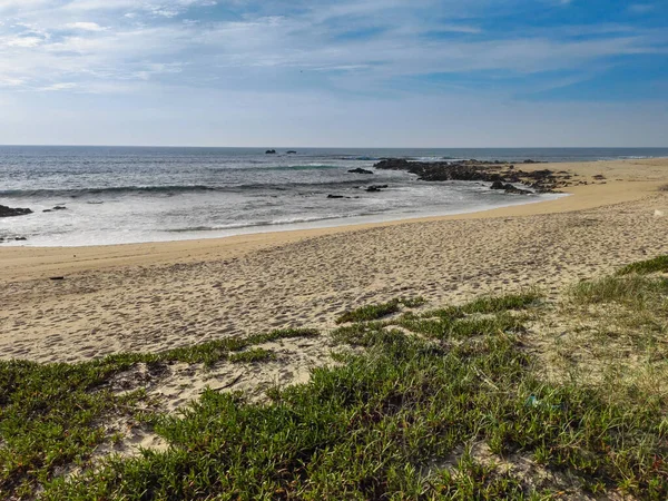 Amplia Vista Del Ángulo Sobre Playa Arena Portugal Con Plantas — Foto de Stock