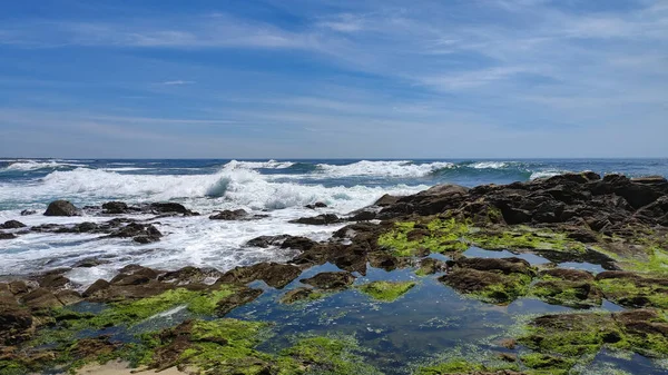 Скелясті Басейни Вкриті Зеленими Водоростями Оскільки Хвилі Утворюються Атлантичному Океані — стокове фото