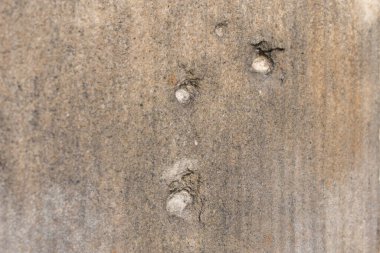 Berlin, Almanya 'daki eski bir binanın taş duvarında kurşun delikleri kapanıyor. 