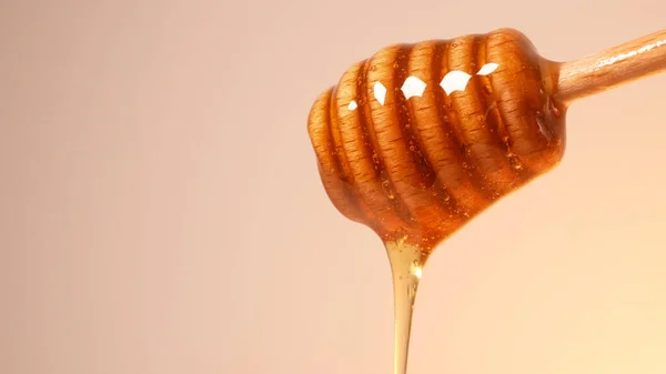 Honey Drizzling Dripping Honey Dipper Copy Space Left — Stock Photo, Image