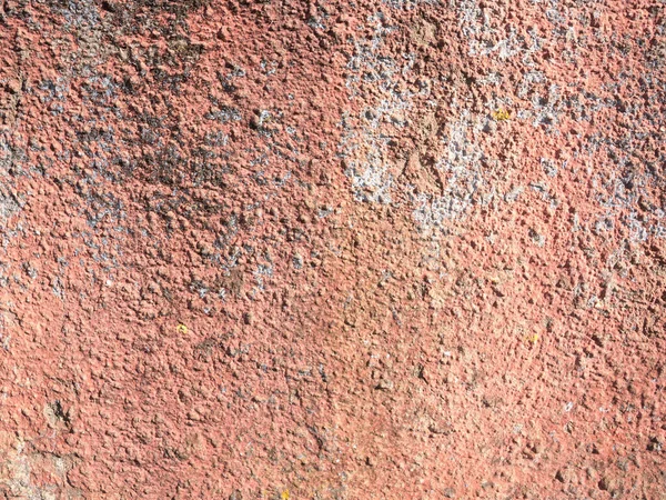Stará Betonová Hrubá Textura Stěny Růžovou Barvou Lišejníkem — Stock fotografie