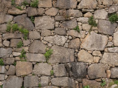 Kırıkların arasında bitkilerin yetiştiği eski, pürüzlü taş duvar.