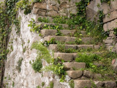 Portekiz, Porto 'da eski, yıpranmış taş basamaklar çatlaklar içinde büyüyen bitkiler.