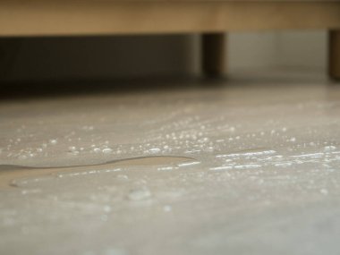 Evdeki ahşap zemine su döküldü. Sığ alan derinliği ile kapat.