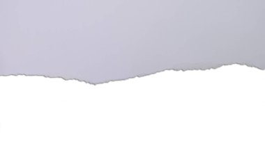 Aşağıdaki beyaz kopya alanını göstermek için yırtılmış mor / mor kağıt.