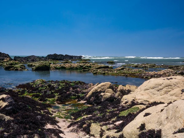 Rock pools on a beach in Northern Portugal on a sunny day in summer with blue sky and the ocean in the background.