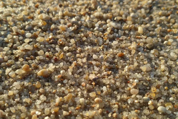 沙质沙滩上的湿沙颗粒宏观的封闭 — 图库照片